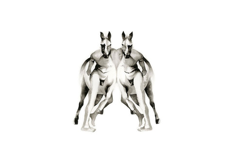 Otherkin Series - Horse, Human, Other - Art Print