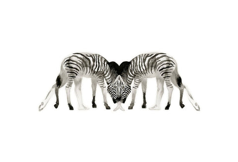 Otherkin Series - Zebra, Human, Other - Art Print